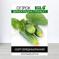 Семена огурца Виноградная Гроздь F1, 0,5кг